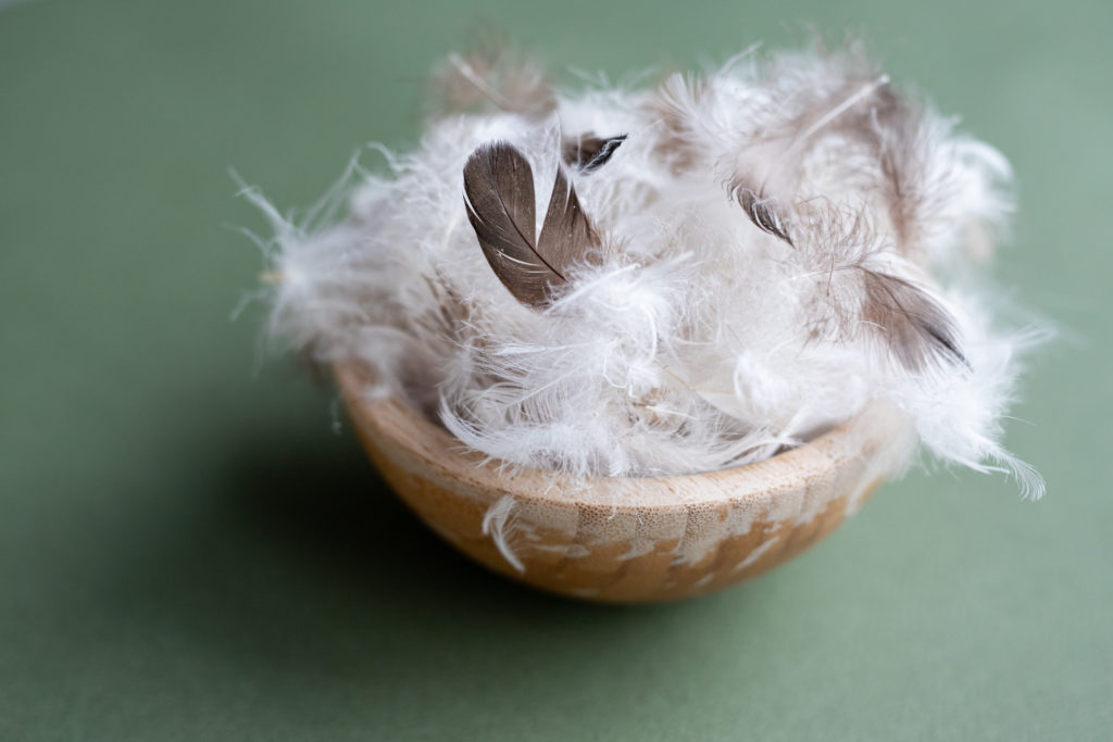 Plumes blanches dans un bol en bois.